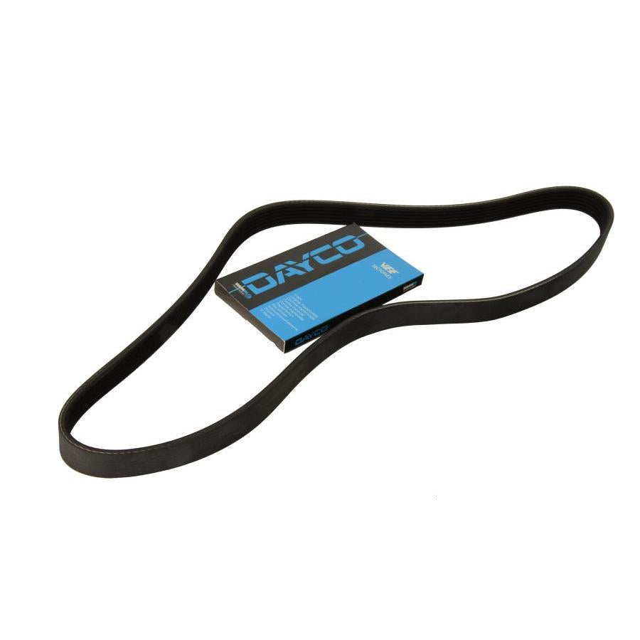 DAYCO DAY6PK2203 V-Ribbed Belt