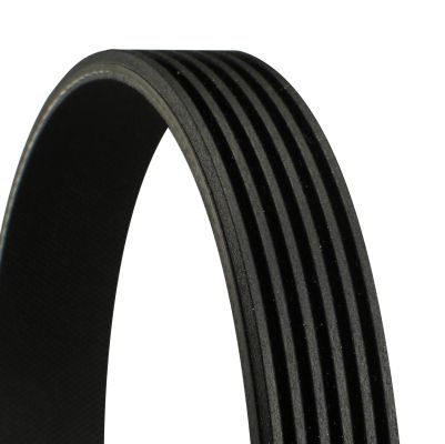 CONTITECH 6PK2575 V-Ribbed Belt