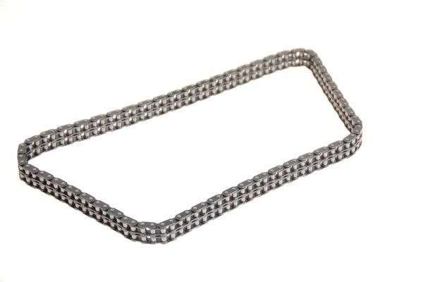 Aston Martin 020-003-0129 Secondary Timing Chain | ML Performance US Car Parts