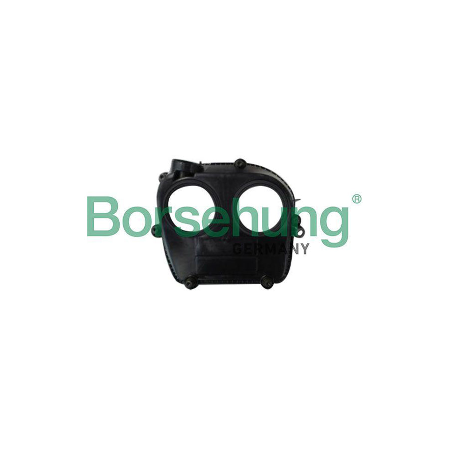 Borsehung B12242 Cover, Timing Belt