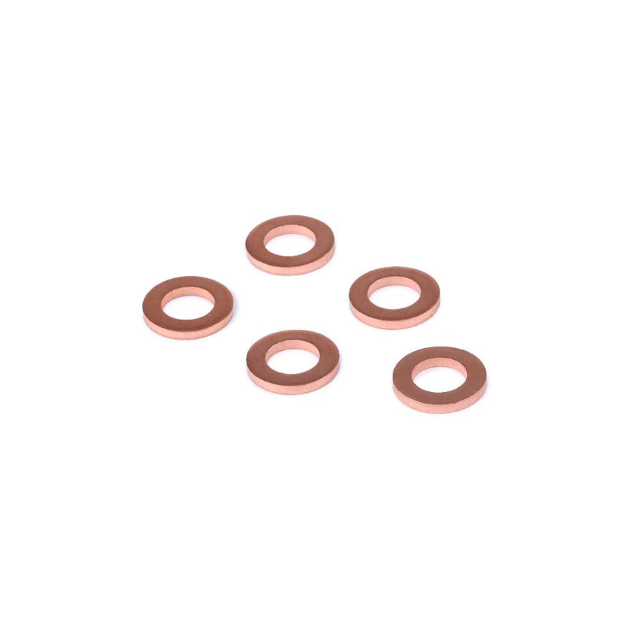 Delphi 9001-850J Seal Ring, Injector