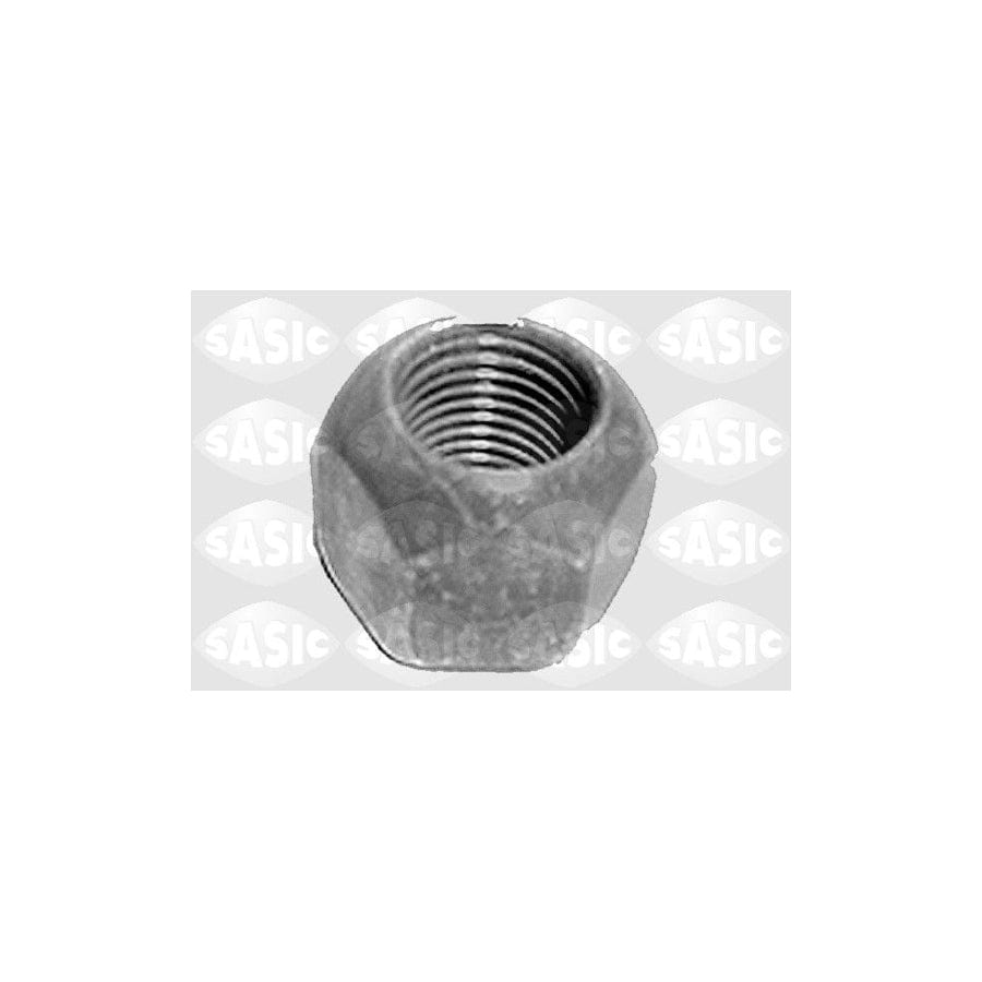 SASIC 4055165 Wheel Nut for PEUGEOT 504 | ML Performance UK Car Parts
