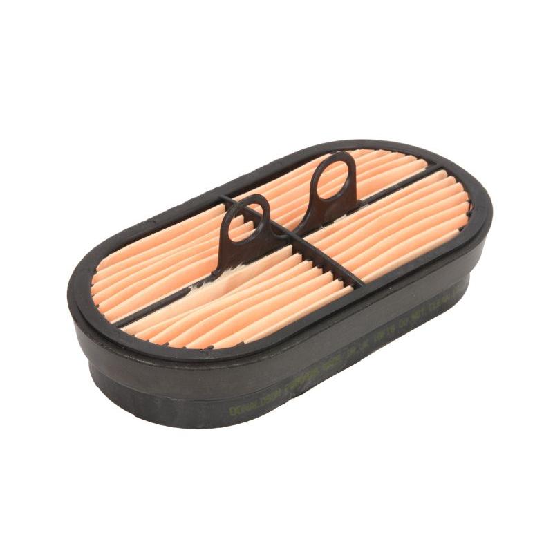 DONALDSON OFF P600975 Air Filter