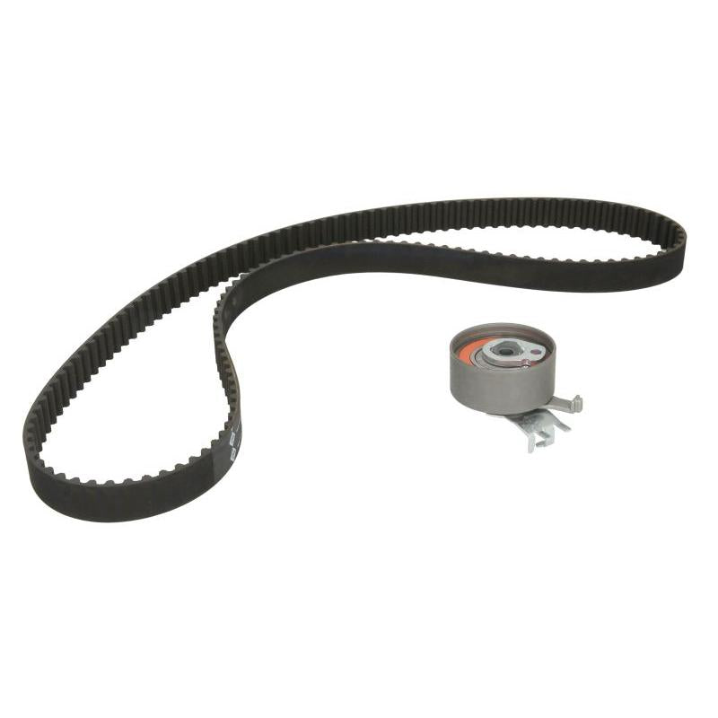 INA 530054110 Timing Belt Set