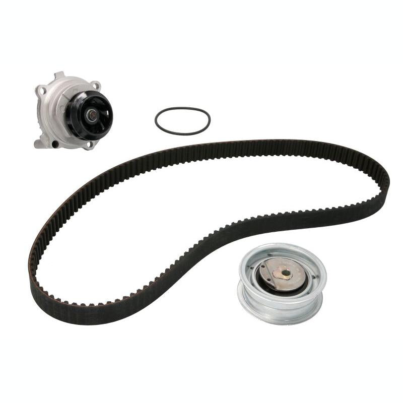 INA 530017131 Water Pump & Timing Belt Kit