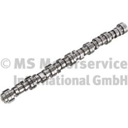 BF 20100713000 Camshaft