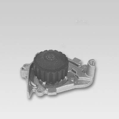 HEPU P739 Water Pump