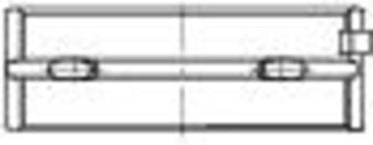 Mahle 001HL21929025 - Crankshaft Bearing