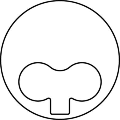 Mahle 0318900 - Piston with rings and pin