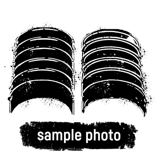 Mahle 039PS21520050 - Connecting Rod Bearing Set