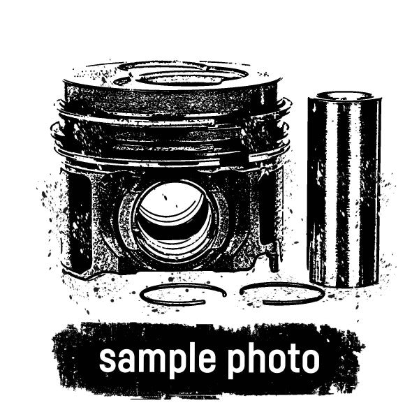 Mahle 227PI00147011 - Complete piston with rings and pin