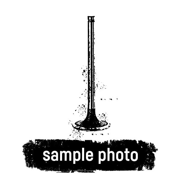 Mahle 081VE30576000 - Inlet valve