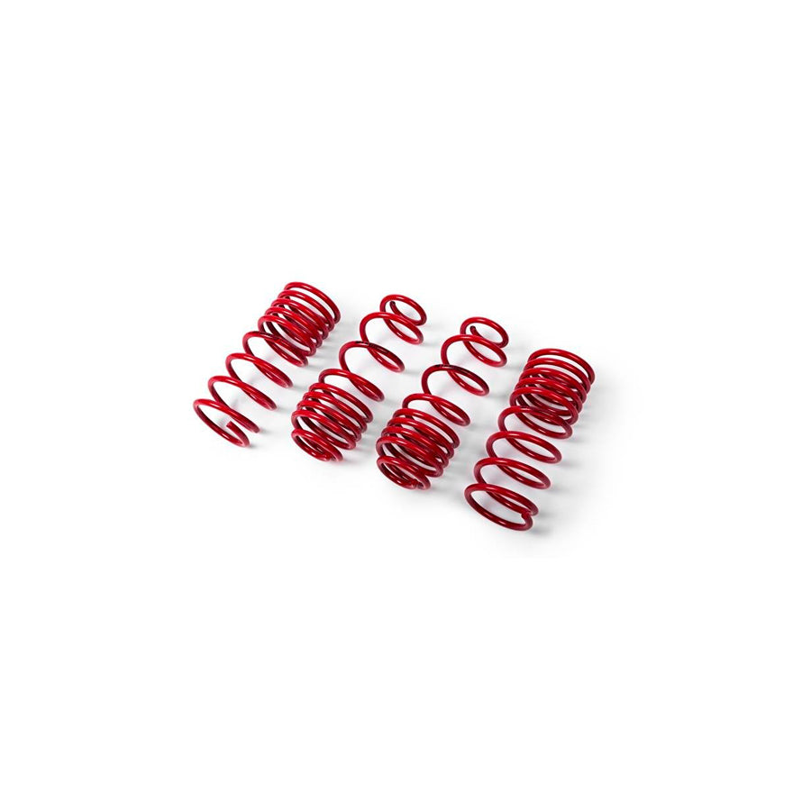 MTS Technik Smart Performance Springs - MTSXMC003 Lowering Springs - Set | ML Performance US Car Parts