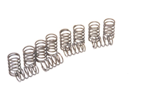 Aston Martin 021-006-0123-PK-W Inner Valve Spring (Pack of 12) | ML Performance US Car Parts