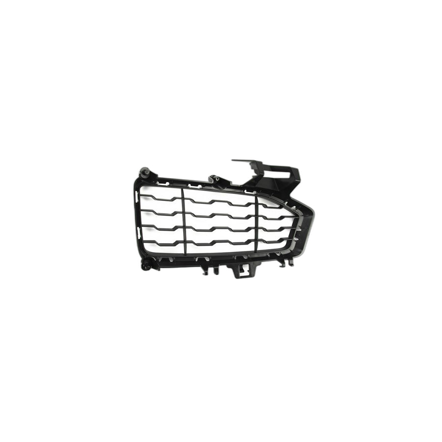 Genuine BMW 51118056493 F36 F32 Grill, Bumper, Front, Left RACE (Inc. 435i, 440i & 428i)