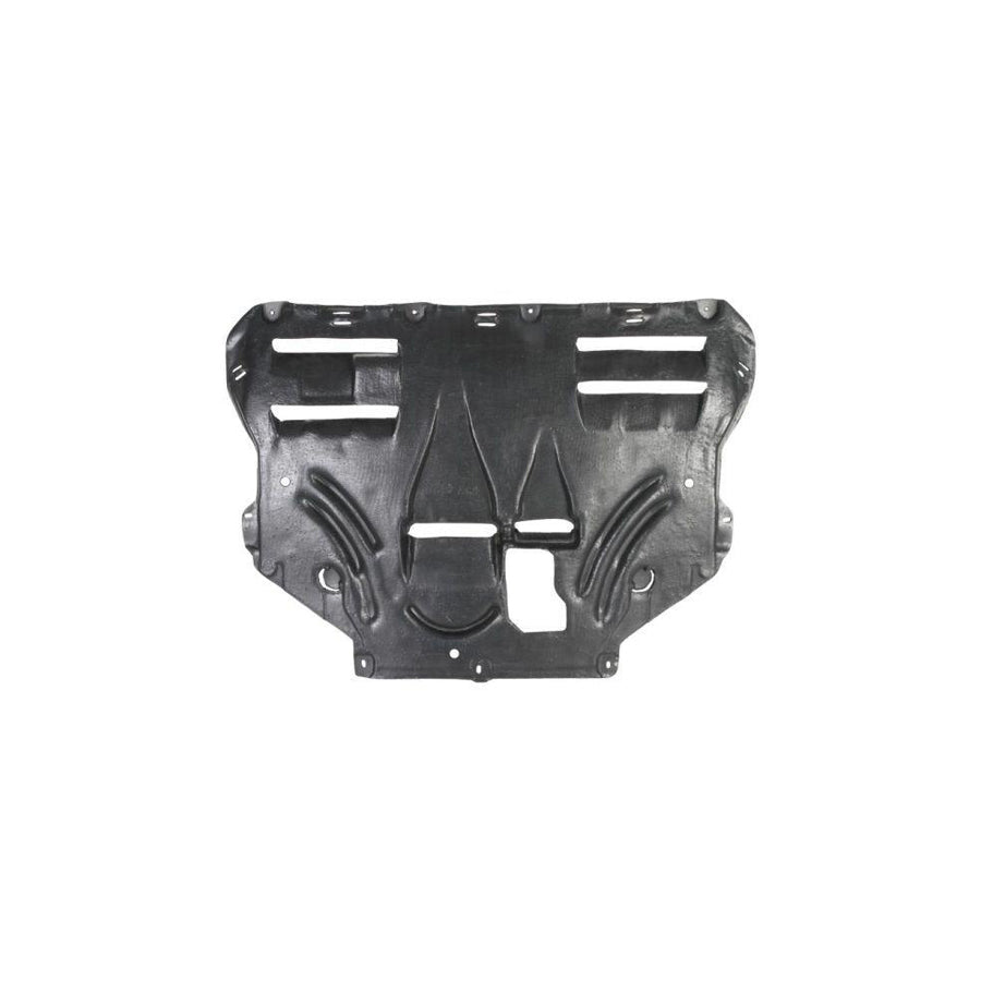 Blic 6601-02-2579860P Engine Cover For Ford Kuga Mk2 (Dm2)