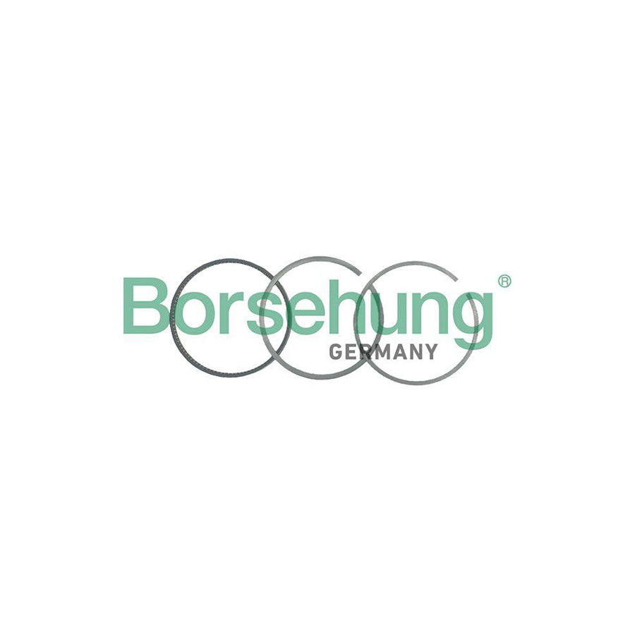 Borsehung B19039 Piston Ring Kit