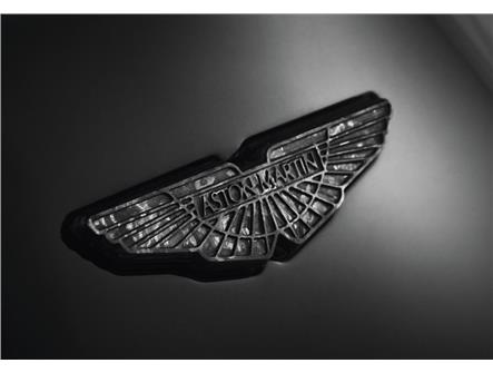 Aston Martin FG33-407A74-AB Carbon Fibre Wings Badge | ML Performance US Car Parts
