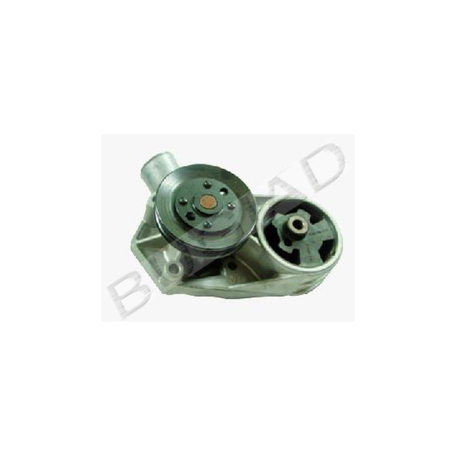 Bugiad BSP22100 Water Pump For Skoda Felicia