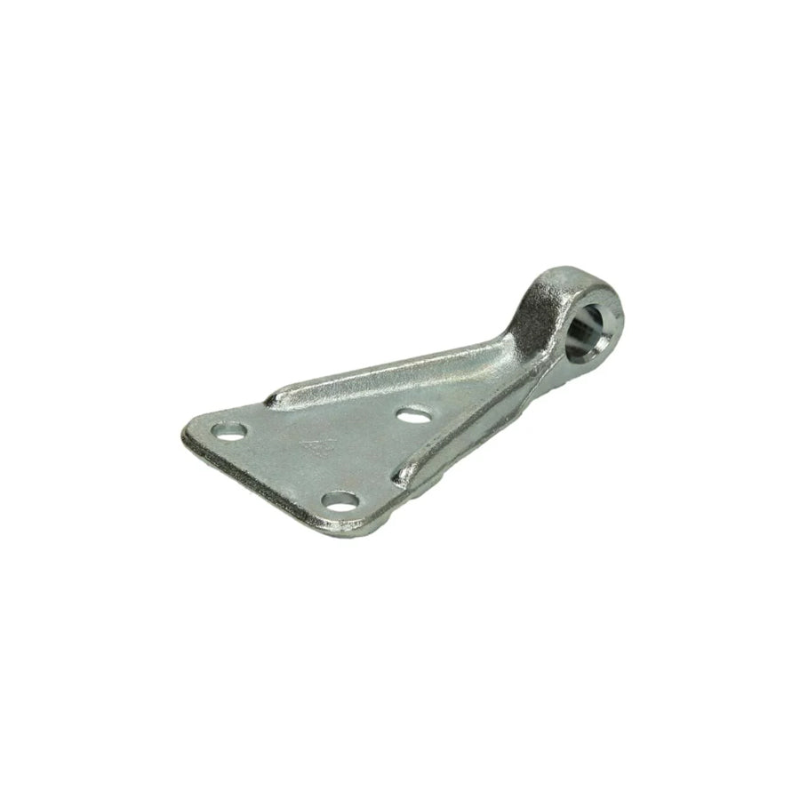 Cargoparts Cargo-Bur-020 Trailer Door Hinges | ML Performance US Car Parts