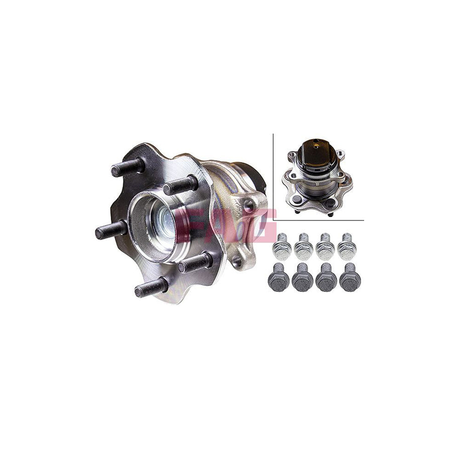 FAG 713 6139 20 Wheel Bearing Kit