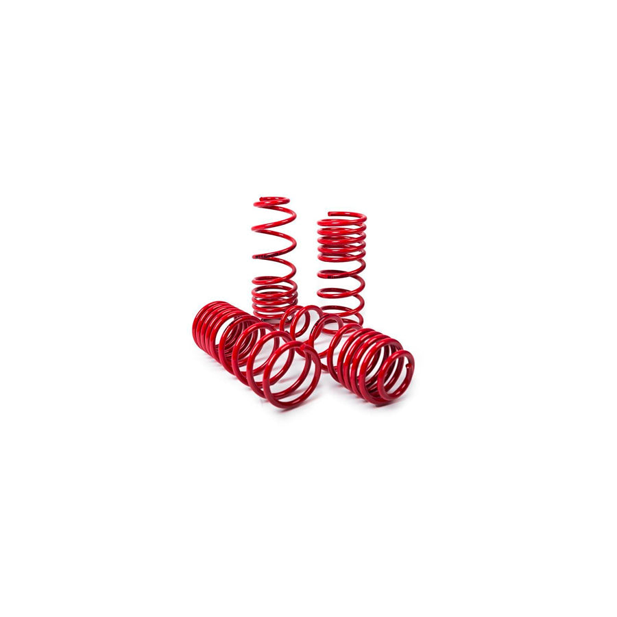 MTS Technik BMW Performance Springs - MTSXBM280 Lowering Springs - Set | ML Performance US Car Parts