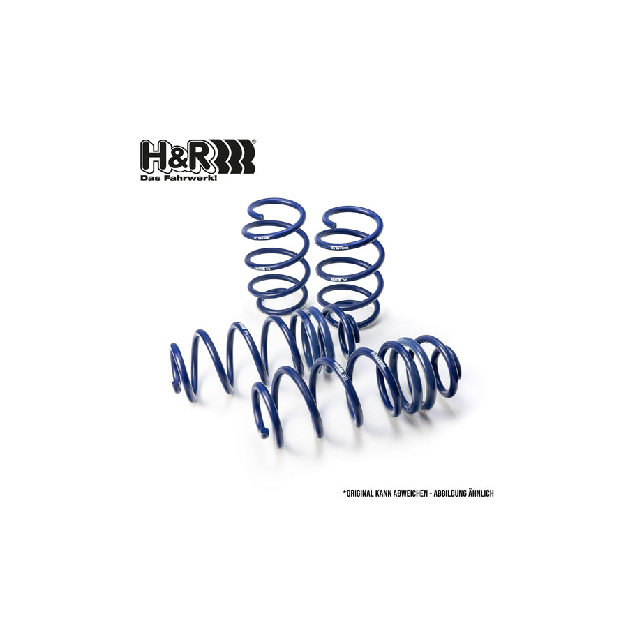 H&R 28696-5 Performance Lowering Springs | ML Performance US Car Parts