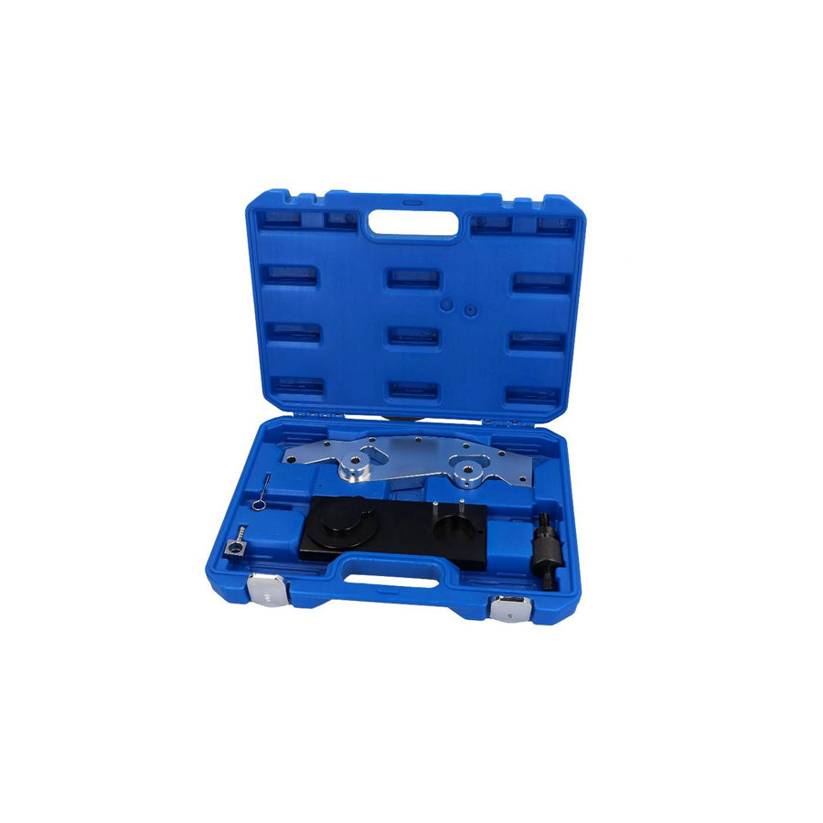 Energy NE00379 Tool Set, Valve Timing ML Performance